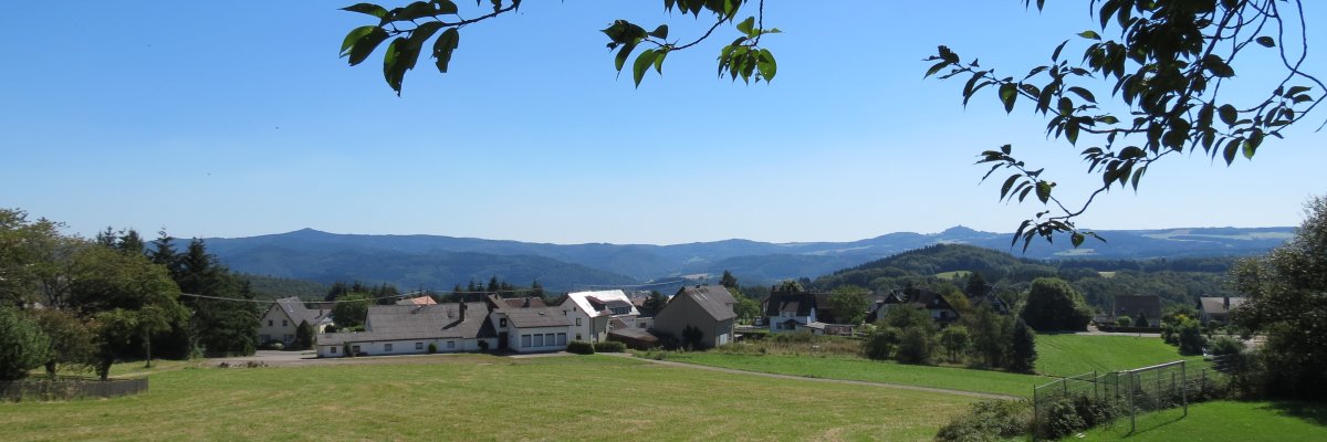 Landschaft Reifferscheid Ländliche Landschaft mit blauem Himmel. Im Vordergrund eine Wiese mit grünen und trockenen Grasflächen. In der Mitte mehrere Häuser eines kleinen Dorfs. Im Hintergrund sanfte Hügel und entfernte Berge. Oben ragen grüne Zweige ins Bild.