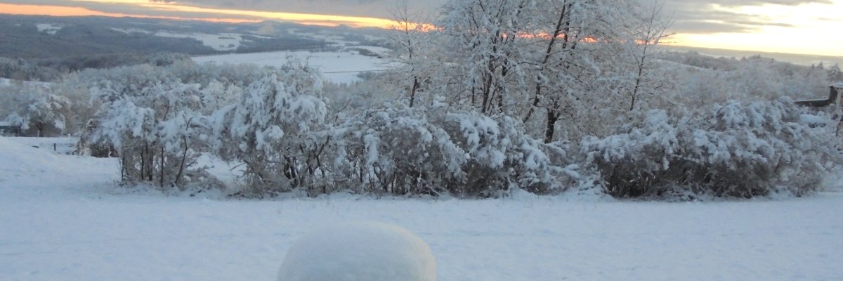 Schneehöhen in Reifferscheid Verschneite Landschaft mit schneebedeckten Bäumen und Büschen. Im Vordergrund ein Holzpfosten mit einer Schneekappe. Im Hintergrund sanfte Hügel und ein bewölkter Himmel mit einem orangefarbenen Streifen am Horizont – vermutlich Sonnenaufgang oder Sonnenuntergang.