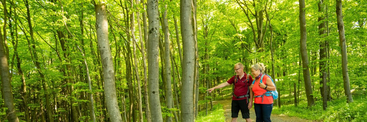 Wanderer im Eifelwald Eine Frau und ein Mann wandern auf einem Kiesweg durch einen grünen Wald. Eine Person zeigt in die Ferne, die andere schaut in die gleiche Richtung. Beide tragen Rucksäcke und Wanderkleidung. Um sie herum hohe Bäume, grüne Pflanzen und kleine weiße Blumen.